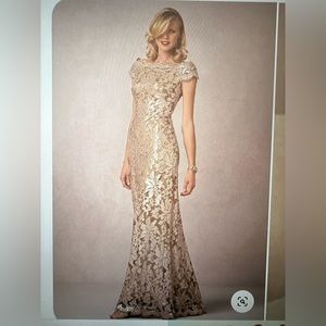 Stunning Tadashi Shoji Odette dress. Size 6